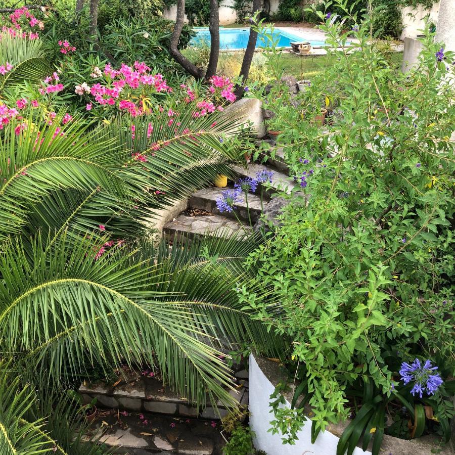 מרסיי L'Appartement - Jardin Secret מראה חיצוני תמונה